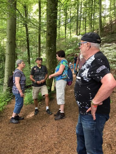Fünf Personen unterhalten sich auf einem Waldweg umgeben von Bäumen und Gebüsch.