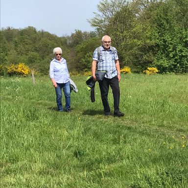 Ein Paar spaziert durch eine grüne Wiese mit Bäumen im Hintergrund.