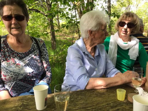 Drei Frauen sitzen im Freien, umgeben von Bäumen, mit Getränken auf einem Tisch.