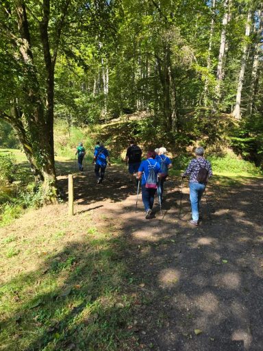 Wandergruppe auf einem Pfad in einem bewaldeten Gebiet mit grünen Bäumen.