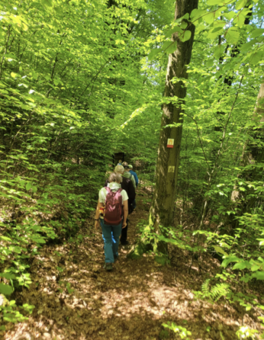 Wanderer auf einem schmalen Weg durch einen grünen Wald mit Bäumen und Laub.