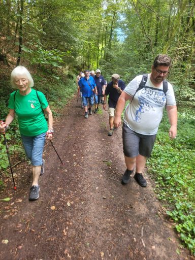 Gruppe von Wanderern auf einem Waldweg, umgeben von Bäumen und Grün.