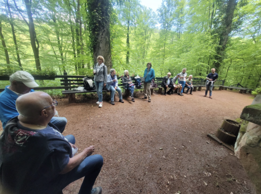 Gruppe von Menschen sitzt in einem Waldgebiet auf Bänken in einer sonnigen Umgebung.
