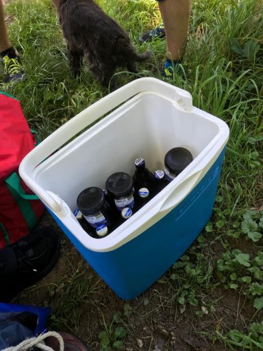 Ein blauer Kühler mit mehreren Flaschen in einer grünen Umgebung.