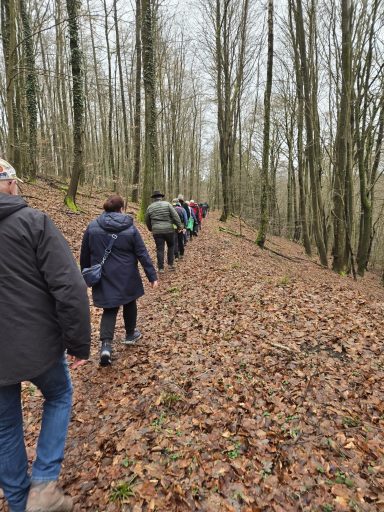 Gruppe von Menschen wandert einen Waldweg mit Laub am Boden entlang.