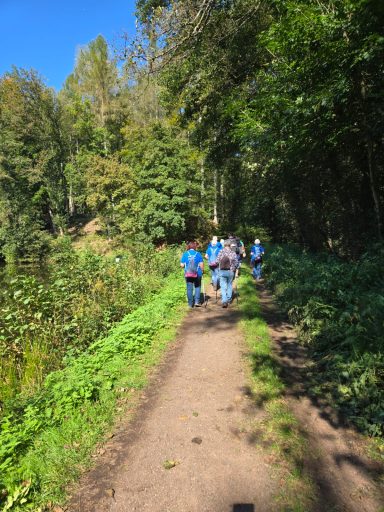 Wanderer auf einem Waldweg, umgeben von Bäumen und Grün, unter klarem Himmel.