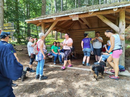 Gruppe von Menschen, die unter einem Holzunterstand in der Natur zusammenkommen.