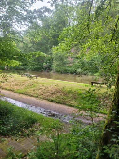 Ein ruhiger Flusslauf umgeben von grüner Vegetation und Bäumen.