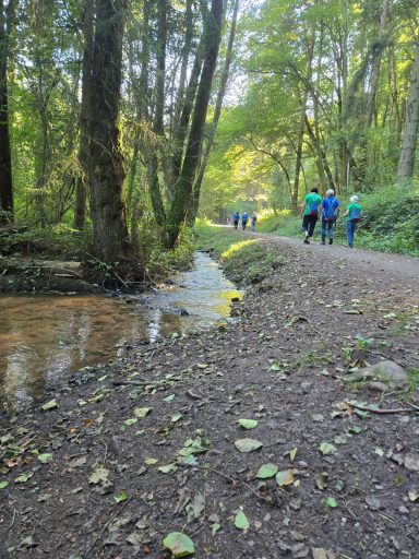 Radfahrer entlang eines schmalen Weges neben einem kleinen Fluss im Wald.