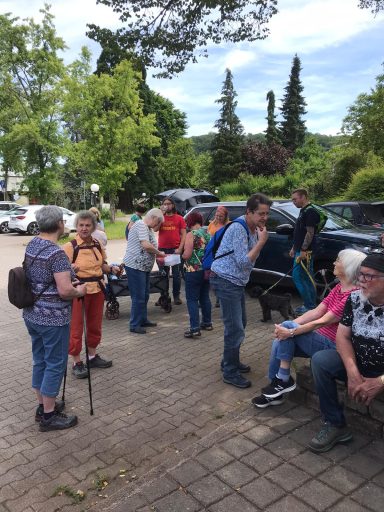 Gruppe von Menschen, die sich im Freien unterhalten, umgeben von Bäumen und parkenden Autos.