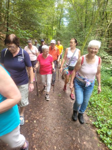 Gruppenwanderung auf einem Waldweg, Teilnehmer mit Stöcken und fröhlichen Gesichtern.