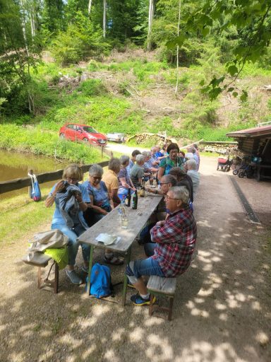 Gruppe von Menschen sitzt an einem langen Tisch im Freien, umgeben von Bäumen.
