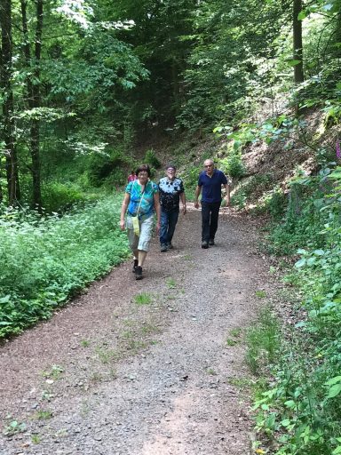 Drei Personen wandern auf einem schmalen Weg durch einen grünen Wald.