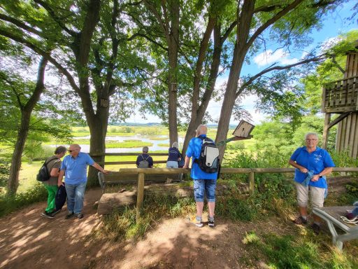 Gruppe von Personen in blauen Shirts, umgeben von Bäumen, mit Aussicht auf Wasser im Hintergrund.
