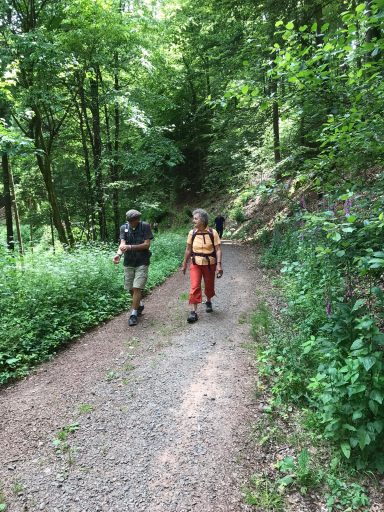 Zwei Wanderer auf einem schmalen Waldweg umgeben von Bäumen und Pflanzen.