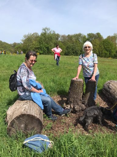 Zwei Personen sitzen auf Baumstümpfen in einer Wiese, eine Person steht im Hintergrund.