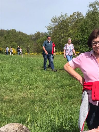 Gruppe von Menschen spaziert durch eine grüne Wiese. Einige tragen casual Kleidung.