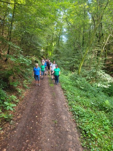 Eine Gruppe von Menschen wandert auf einem Waldweg umgeben von Bäumen und Sträuchern.