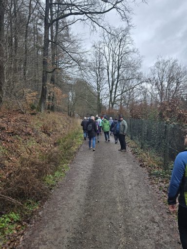 Gruppe von Wanderern auf einem Waldweg umgeben von Bäumen und Herbstlaub.
