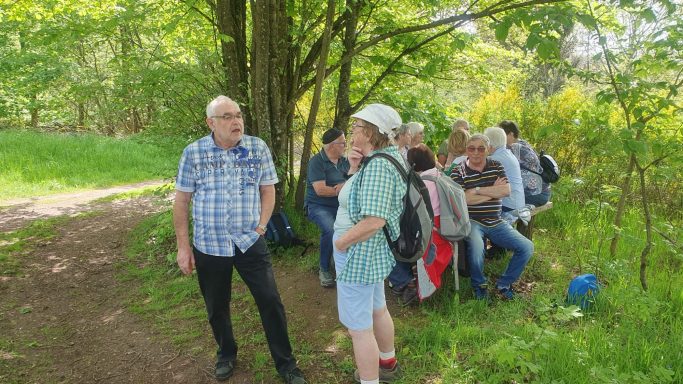 Gruppenausflug im Freien, Teilnehmer stehen und sitzen unter Bäumen, © Natur.