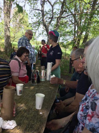 Gruppe von Menschen bei einem Treffen im Freien, umgeben von Bäumen und Getränken.