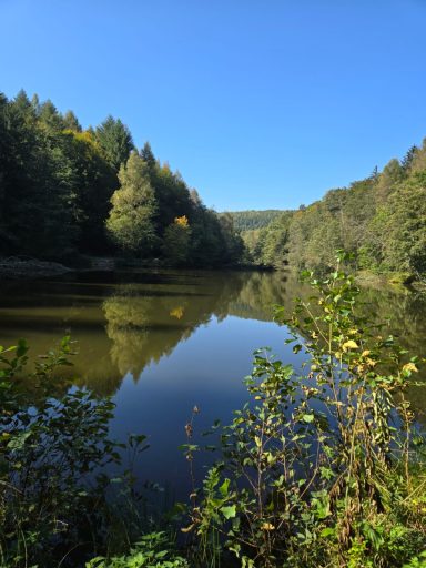 Ruhiger See mit umliegenden Wäldern und klarem blauen Himmel.