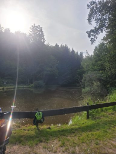 Ruhiger Fluss mit Bäumen im Hintergrund und einer Person am Ufer.