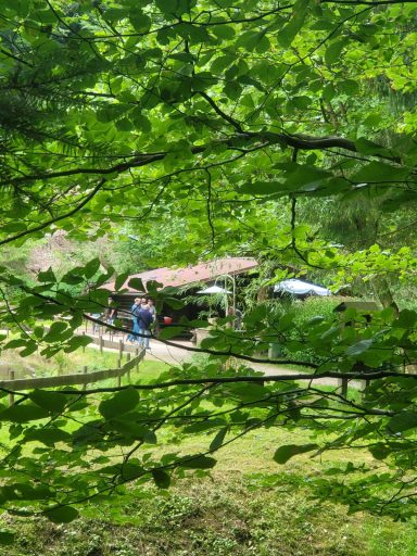 Eine Person steht neben einem alten, überdachten Wagen, umgeben von grünen Bäumen.