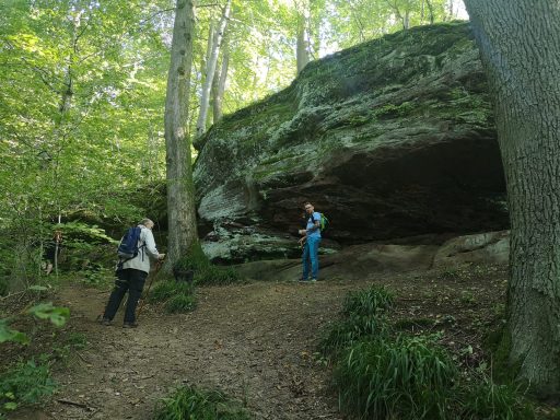 Wanderer stehen unter einem großen Felsen in einem grünen Wald.