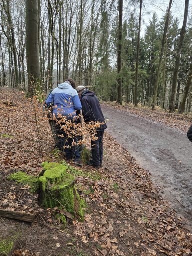 Zwei Personen stehen am Waldrand und betrachten den Boden zwischen den Bäumen.